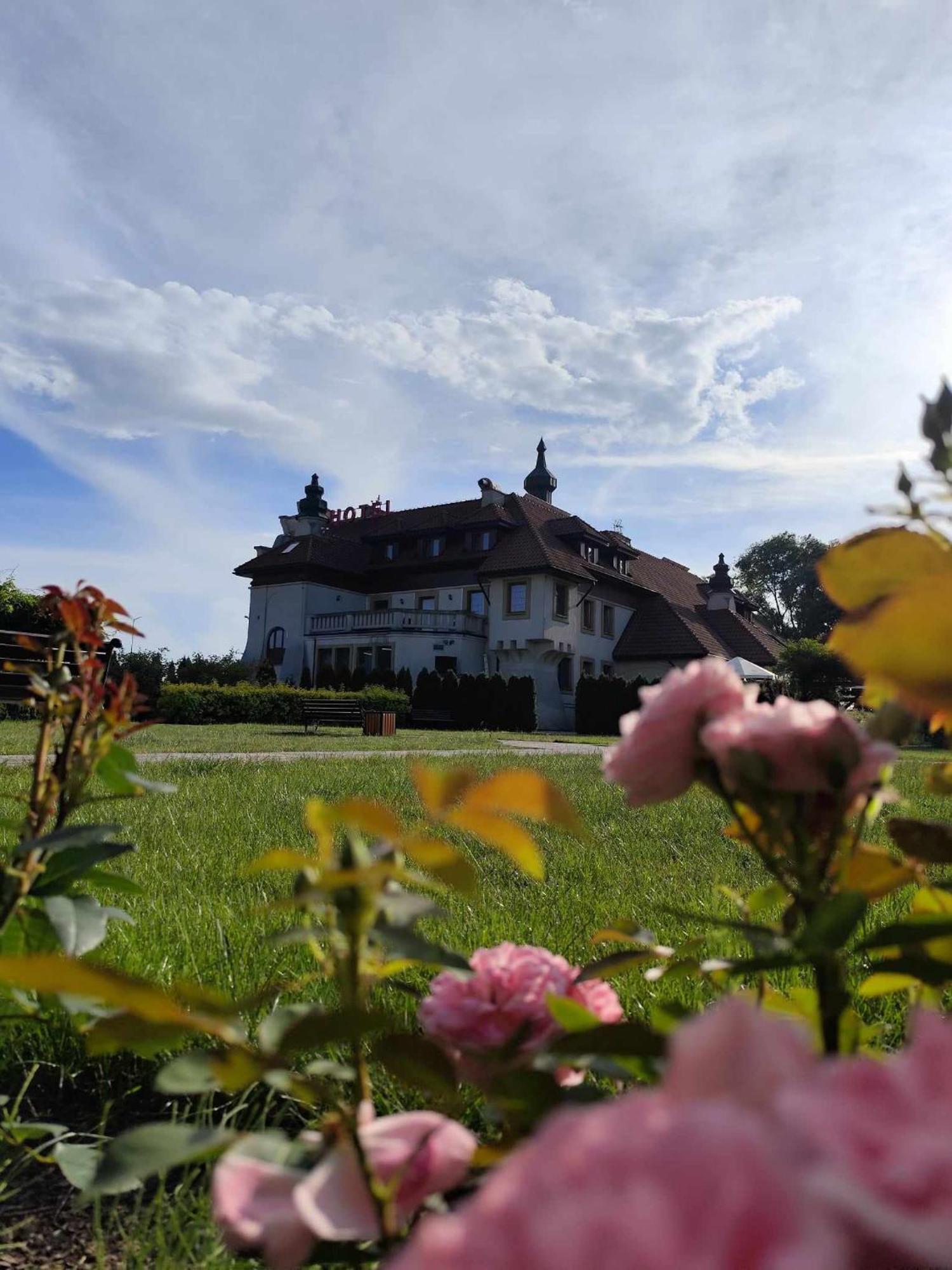 Hotel Kasztel Rzezawa Экстерьер фото